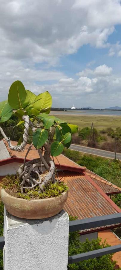 Lake Edge Resort Anuradhapura Buitenkant foto